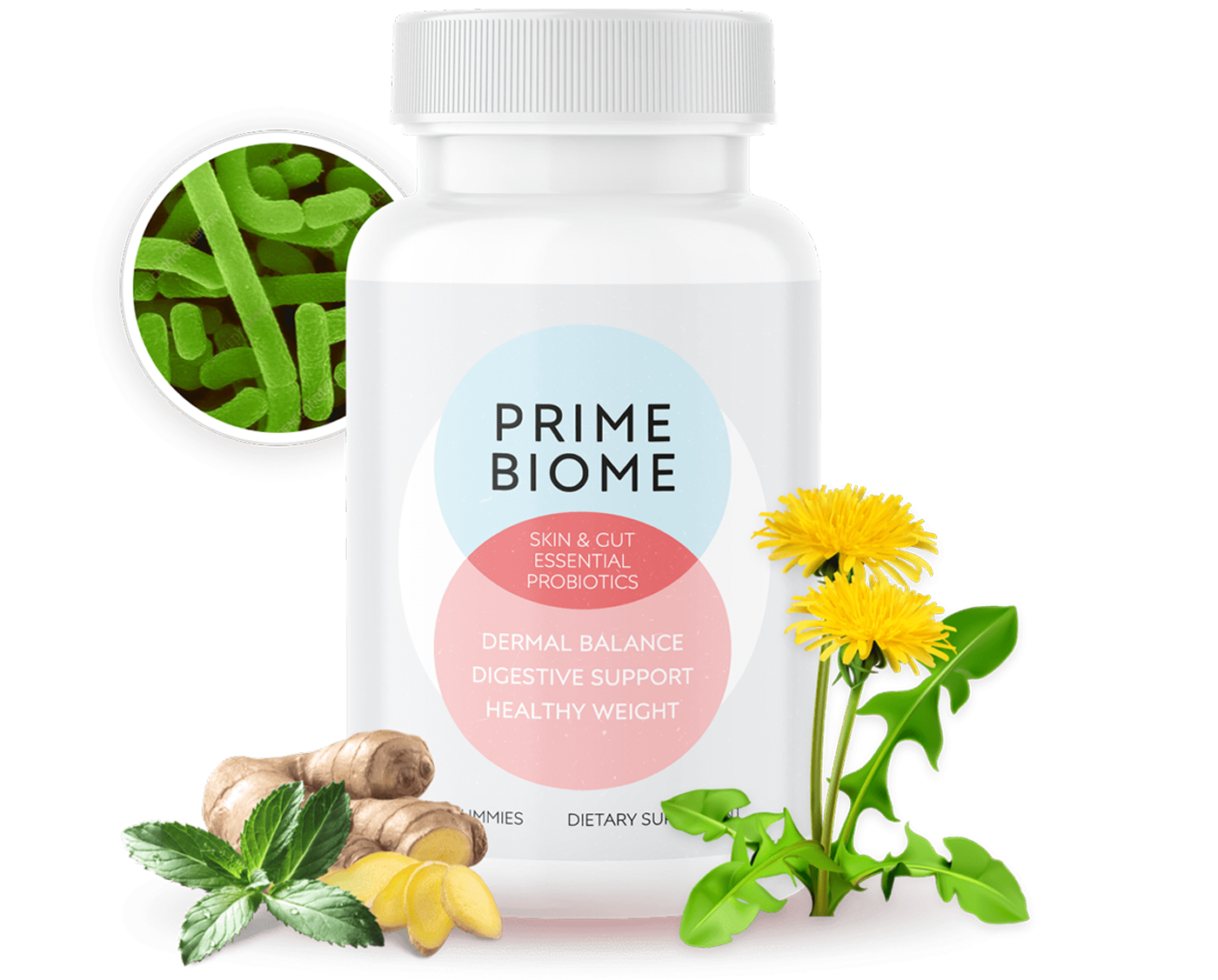 PrimeBiome Official Supplement Bottle